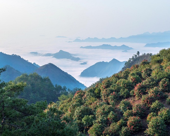 淳安屏门乡旅游景点图片