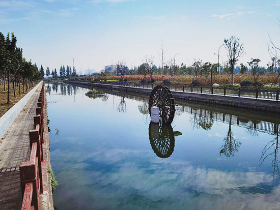 美丽乡村焕发"水活力" 河庄街道持续推进治水提质工程