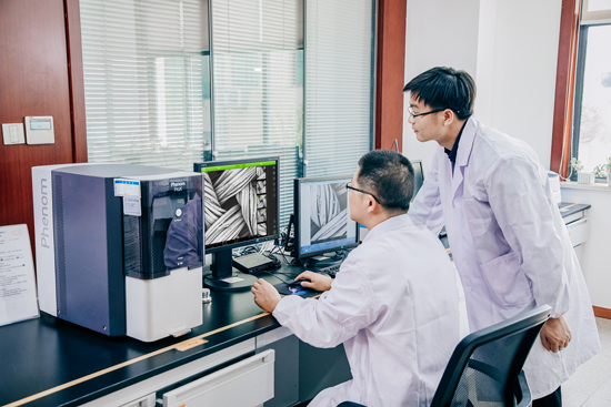 技术人员扫描电镜测试