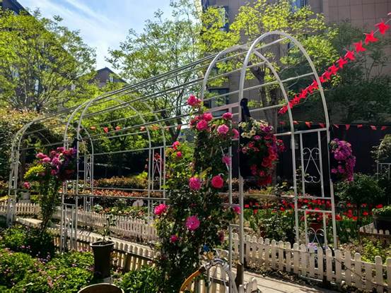 微信图片_2025-04-09_170026_458