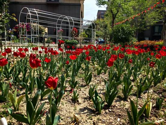 微信图片_2025-04-09_170015_483